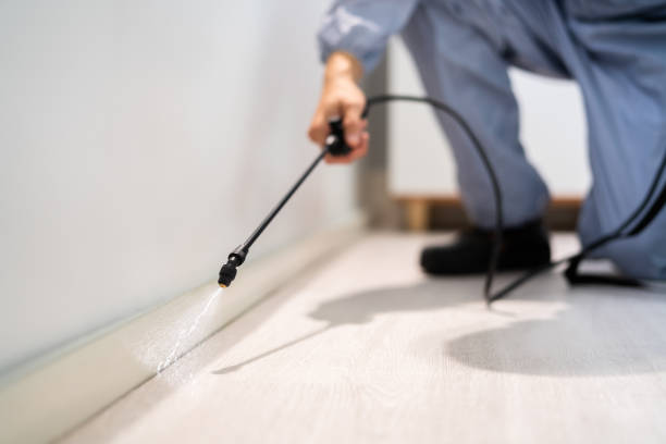 Licensed Mosquito Control service in Clinton, MS - Show Me Pest Control
