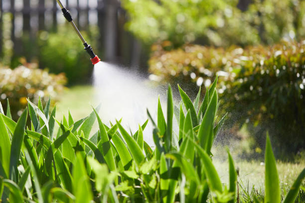 24/7 Emergency Mosquito Control experts in Clinton, MS