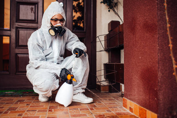 Reliable Mosquito Control contractor in Clinton, MS by Show Me Pest Control