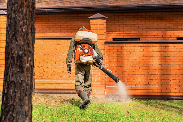 Top rated local Mosquito Control specialists in Clinton, MS